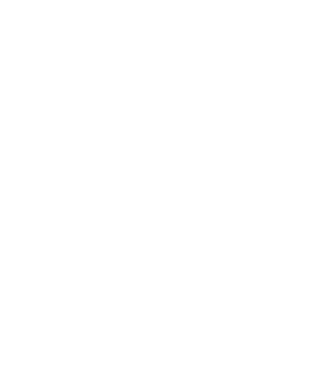 bg logo graphic